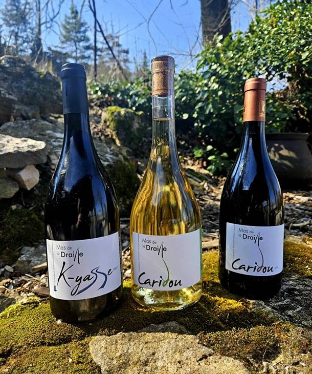 Le restaurant - Le Bistrot Larzac - Restaurant Cirque de Navacelle - top restaurant LA VACQUERIE-ET-SAINT-MARTIN-DE-CASTRIES